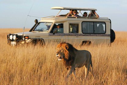 Exploring the Best Tourist Attractions and Places to Visit in Tanzania