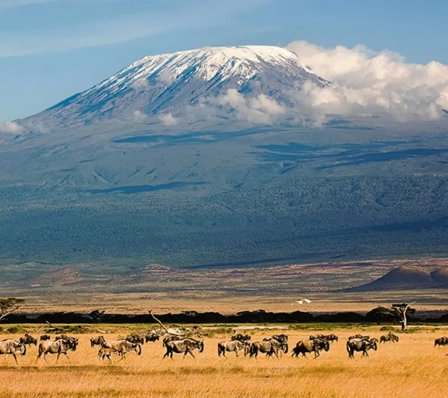 Mount Kilimanjaro Hiking Packages