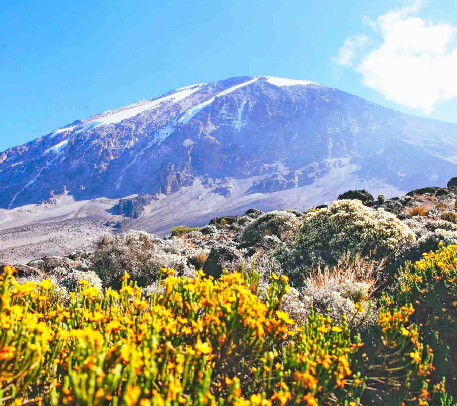 Tanzania Safari Holiday- Mount Kilimanjaro
