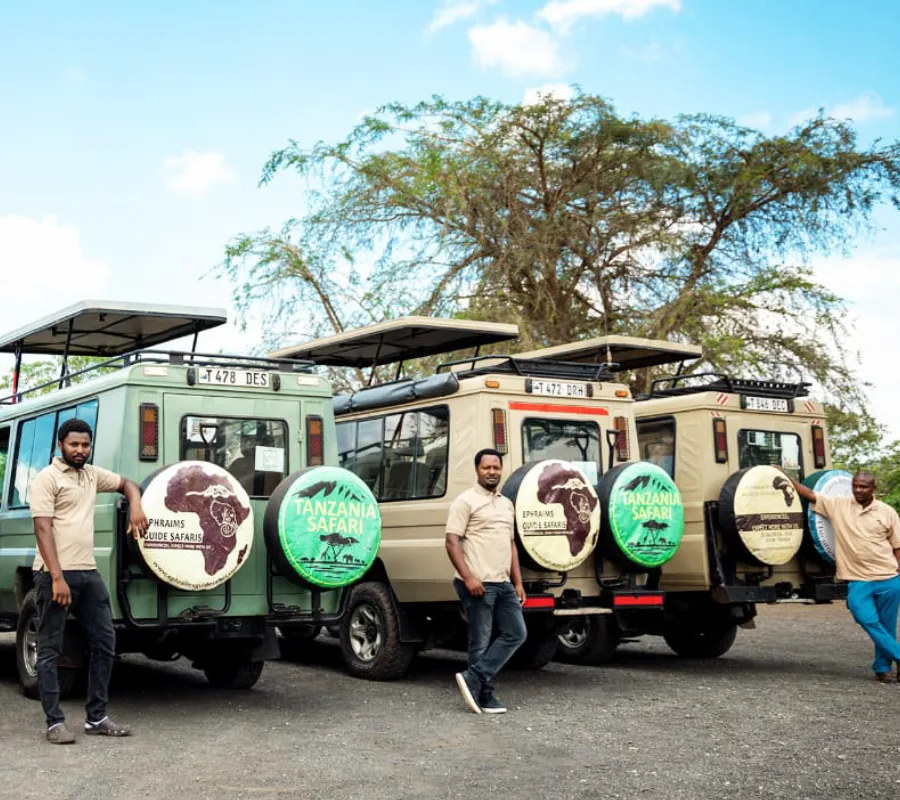 Tanzania Safari Holidays & Hiking Adventures